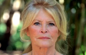 Brigitte Bardot’s Real Legacy: How She Changed What Freedom Looked Like on Screen Brigitte Bardot.