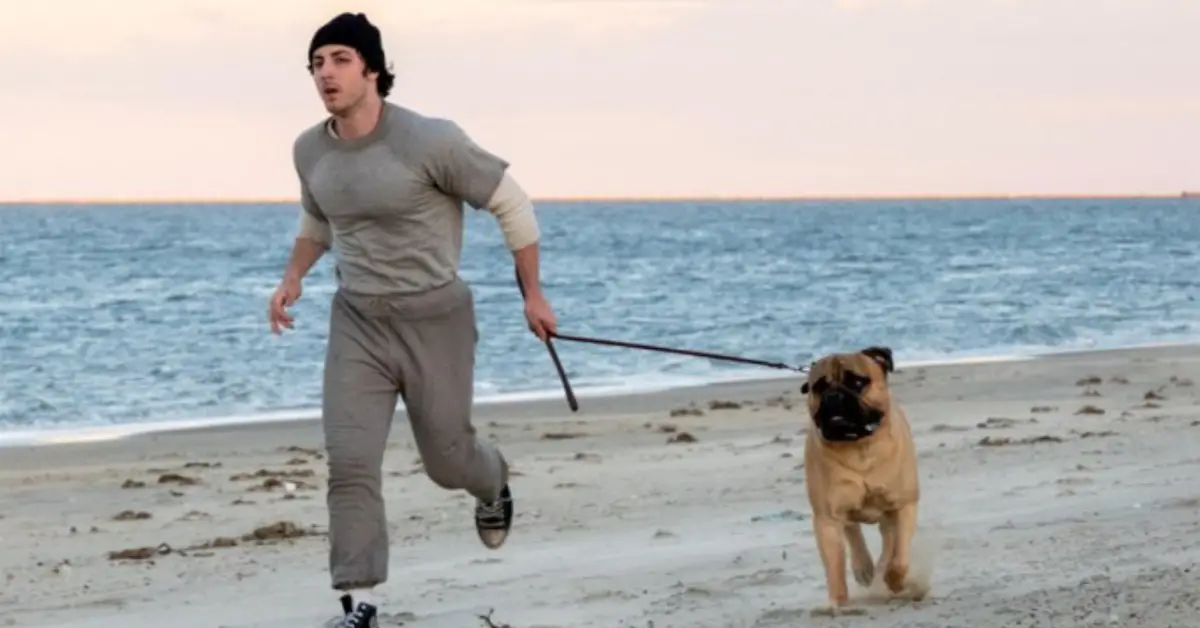 ‘I Play Rocky’ Steps Into the Ring This Thanksgiving as Stallone’s Underdog Story Gets a Big-Screen Victory 1 I Play Rocky