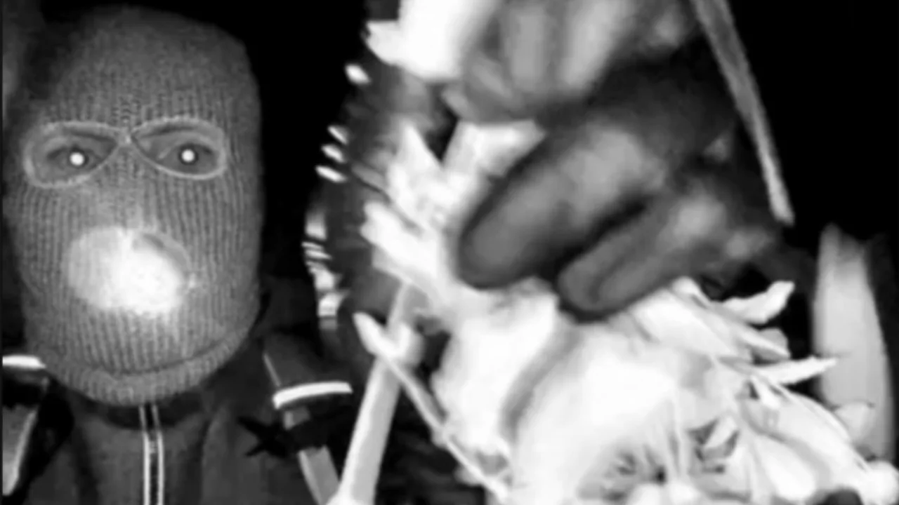 Nancy Guthrie kidnapper